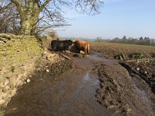 Bentham 24 February 2019