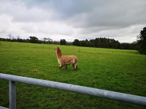 Bolton by Bowland 6 October 2019
