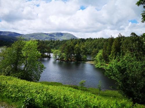 Coniston to Tarn Hows 9 June 2019