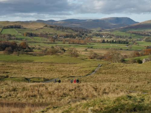 Ings 10 November 2019