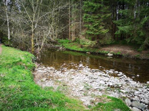 Kings Meaburn 14 April 2019