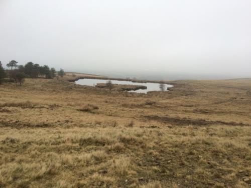 Nicky Nook 6 January 2019