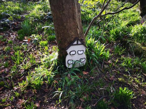 Heysham Nature Reserve 16 February 2020