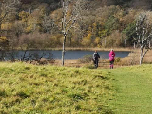 Silverdale 25 October 2020