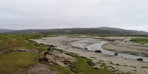 Silverdale 19 January 2020