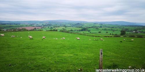 Armathwaite 14 May 2023