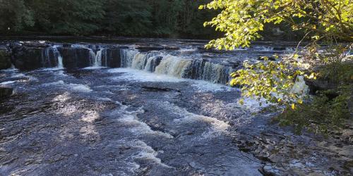 Aysgarth Falls 15 October 2023