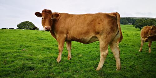 Barbondale & Low Barbon Fell 17 September 2023