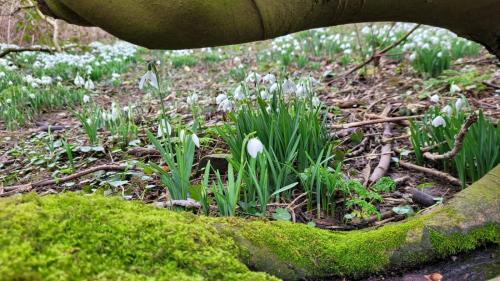 Burton to Holme 12 February 2023