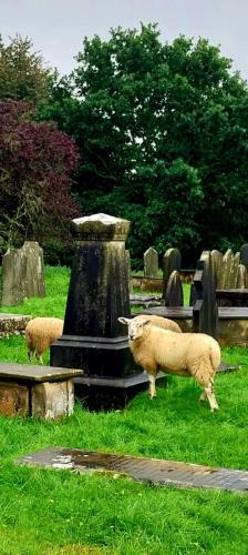 Cark & Hampsfell 10 September 2023