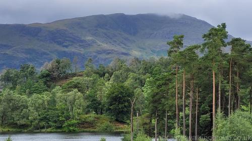 Coniston to Tarn Hows 16 July 2023