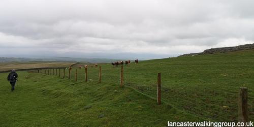 Great Asby Scar 30 April 2023