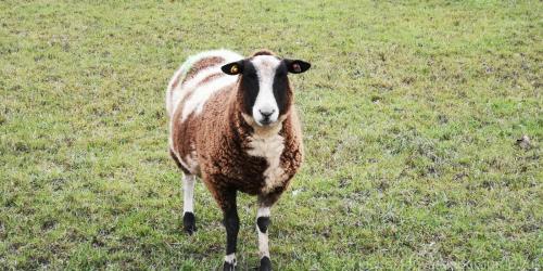 Knott End & Preesall 3 December 2023