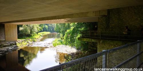 Levens Park & Lancaster Canal 11 June 2023