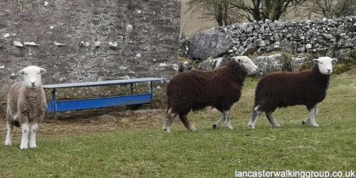 Ribblehead 19 February 2023