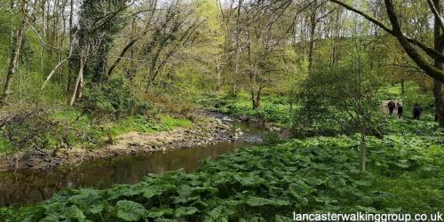 River Brock & Beacon Fell 3 May 2023