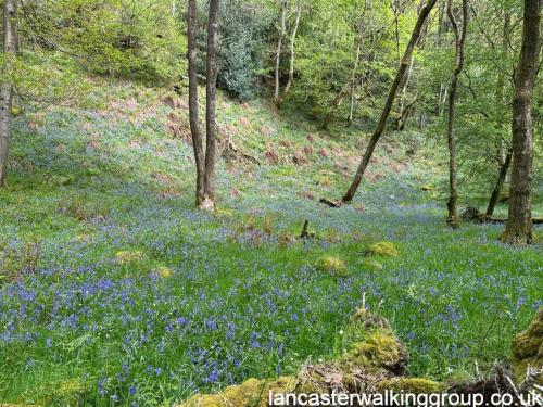 Roeburndale 7 May 2023