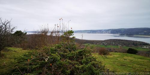 Silverdale & Arnside Knott 26 November 2023