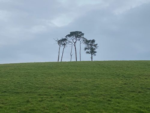 Casterton 19 October 2025