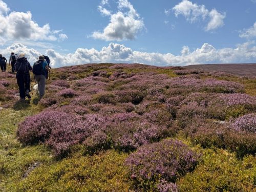 Gunnerside 3 August 2025