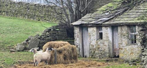 Hawes & Hardraw Force 19 January 2025