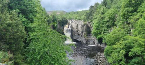 Low Force & High Force 1 June 2025