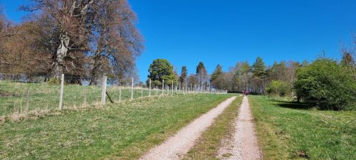 Lowther Estate 20 April 2025