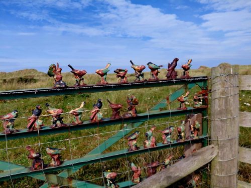 Walney 24 August 2025