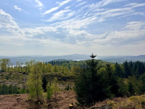 Claife Heights 26 April 2026