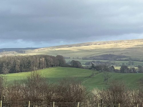 Kirkby Stephen 22 February 2026