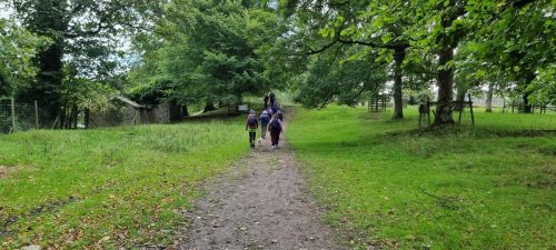 Levens Park 20 September 2026