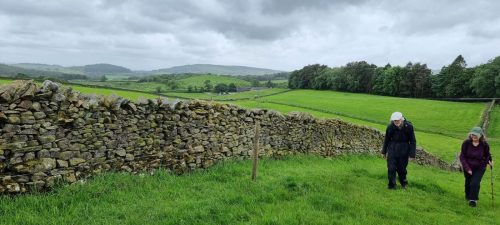 Mansergh 7 June 2026