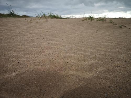 Northumberland 2023 (Saturday)