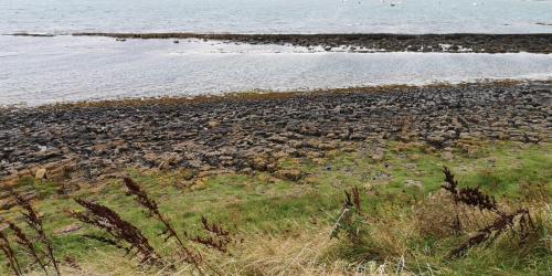 Northumberland 2023 (Sunday)